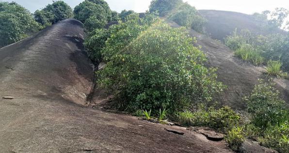 Vaupés recibe el taller Construyendo País