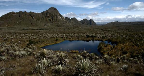 7 datos sobre el Páramo de Sumapaz 