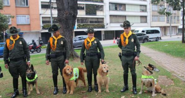 ¡Adopta a un héroe de cuatro patas!