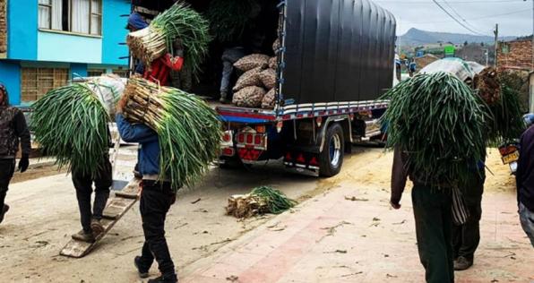 La 'Cebollatón' de campesinos boyacenses para familias vulnerables