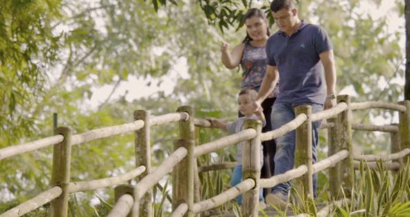 Dejando atrás la coca y la guerra