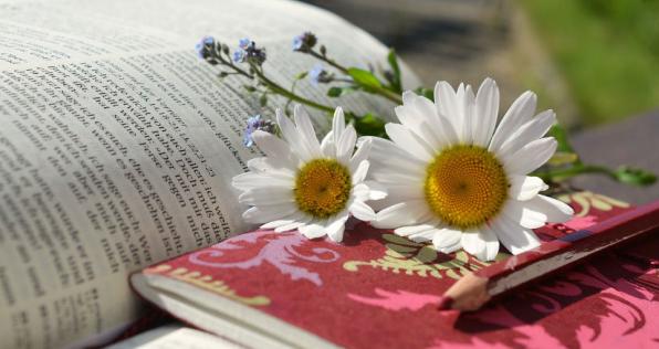 El arte se toma la ciudad de Bogotá