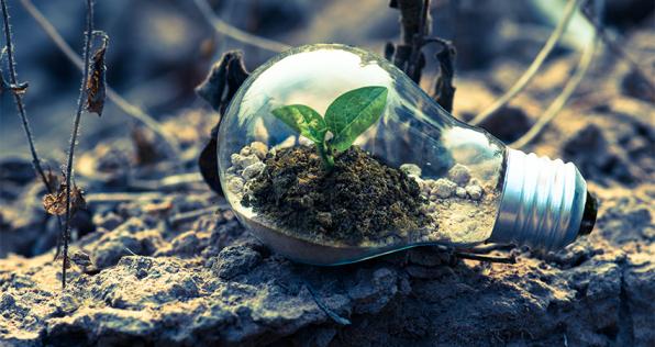 10 consejos para cuidar el planeta desde tu casa