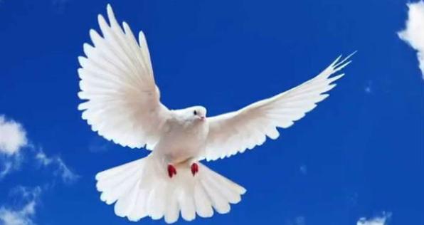 Lo que debe saber sobre el acto legislativo para la paz