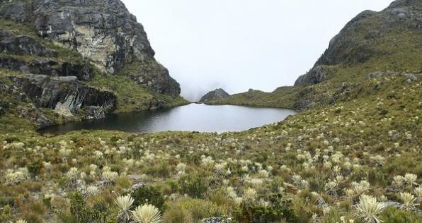 Gobierno debe prohibir megaminería en páramos de Colombia