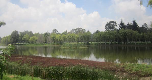 El Río Bogotá también se 'reinventa' durante la cuarentena