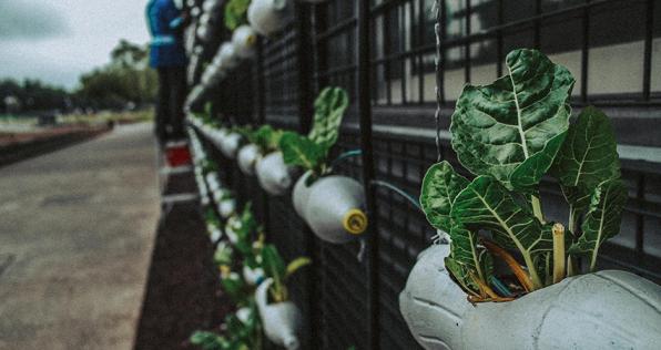 Recomendaciones para tener una vida sostenible en cuarentena