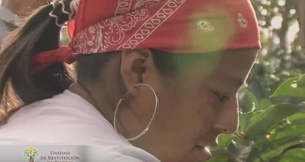 San José de Albán: Restitución de tierras con aroma de paz