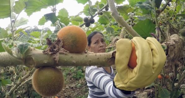 La comunidad de Bolívar, en el Valle, renace
