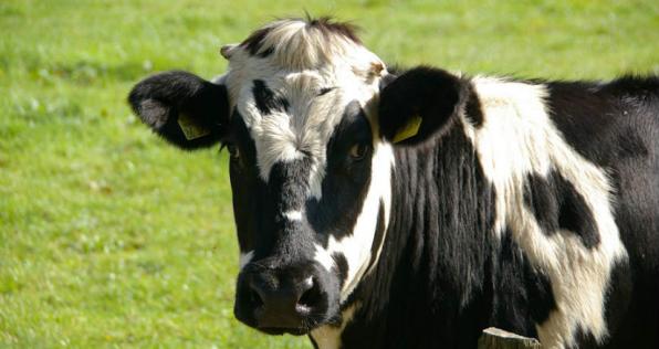 ¡Nuevo capítulo de Ica Comunica!