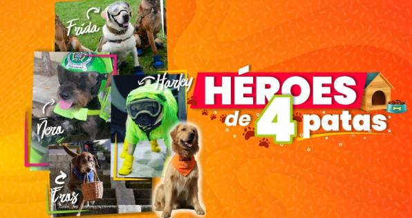 Los perros de servicio, héroes de 4 patas
