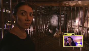 Las #GestasDelTiempo Episodio 9: El rescate