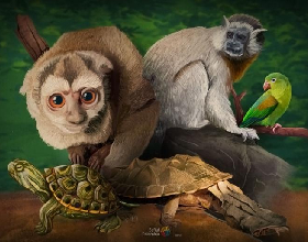 Día Mundial de las Especies Silvestres