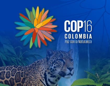 Anfitriones Oficiales de la COP16 
