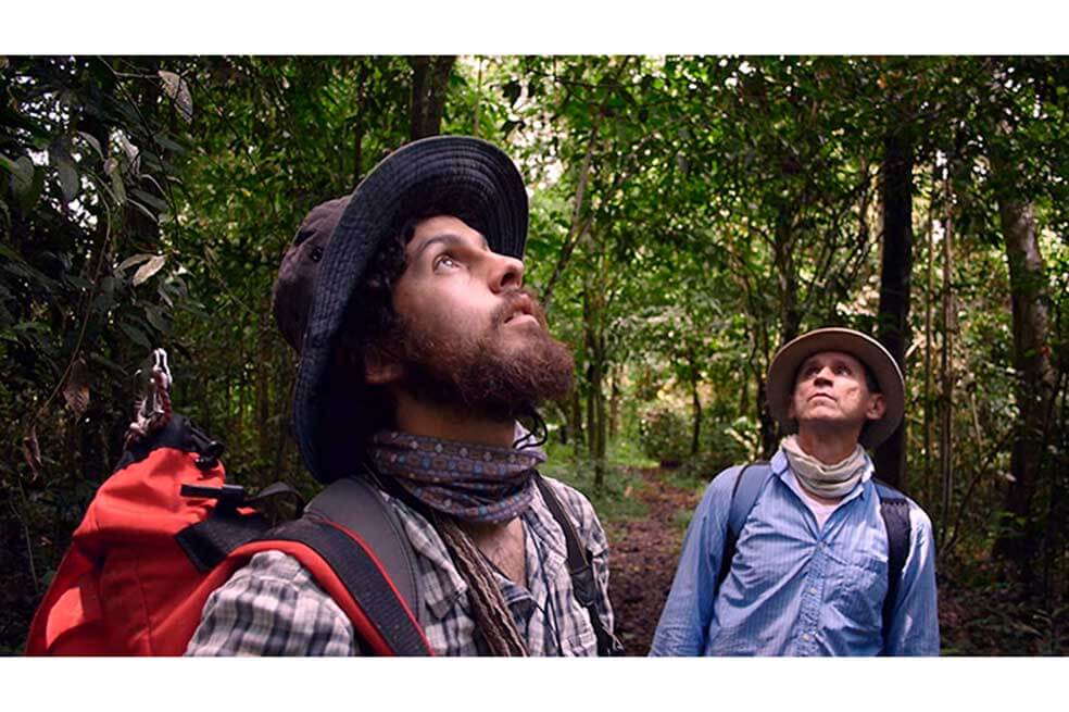 “Homo Botanicus”, documental inaugural del ciclo La Resistencia