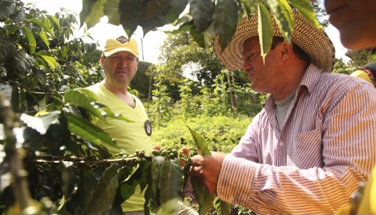 LAS AVENTURAS EN EL CAMPO DEL PROFESOR YARUMO CUMPLEN 33 AÑOS