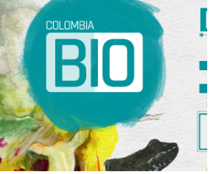Durante expediciones de Colombia BIO han sido descubiertas 93 nuevas especies para la ciencia