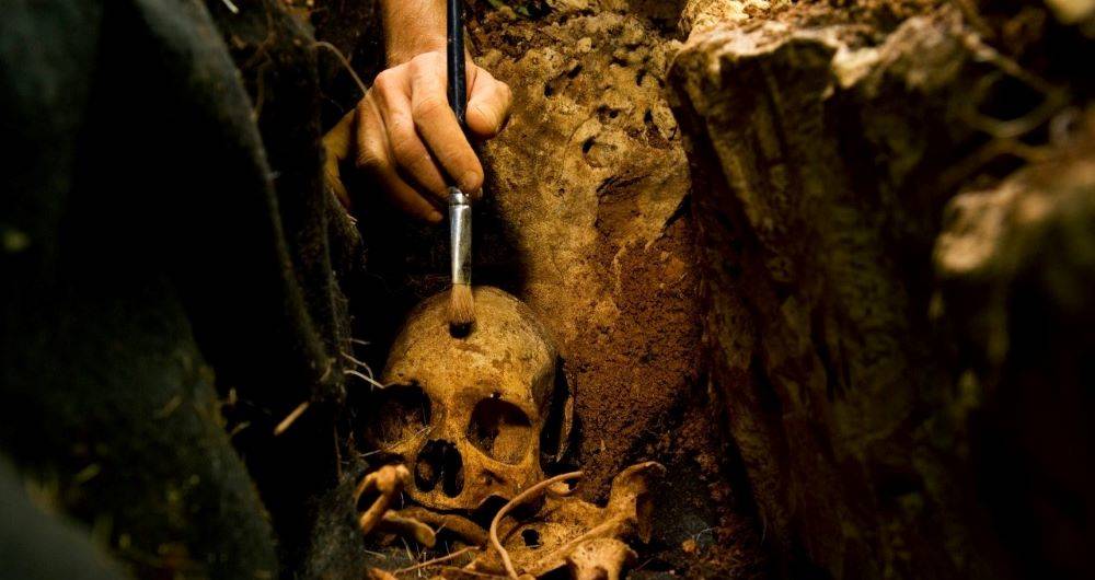 Contenidos de Discovery se podrán ver a través de Señal Colombia