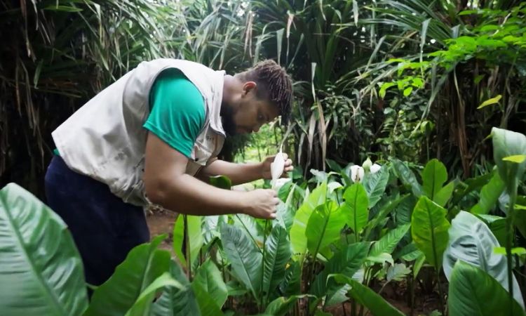 ‘Camino Emprendedor’: una serie imperdible