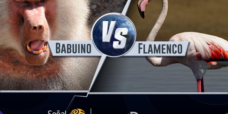 Programas estrella de Discovery llegan a Señal Colombia