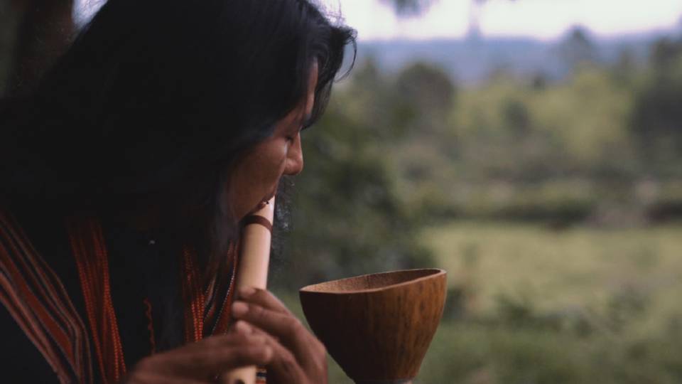 Televisión pública: estas tres series documentales nuevas demuestran su sensibilidad