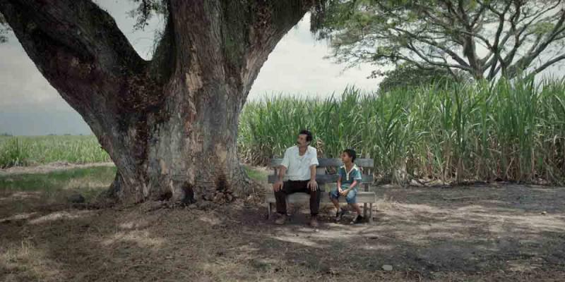 Agéndese con el ciclo de películas que propone Señal Colombia