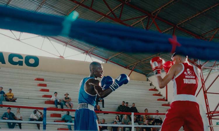 Nocaut, el deporte como esperanza para cambiar la vida