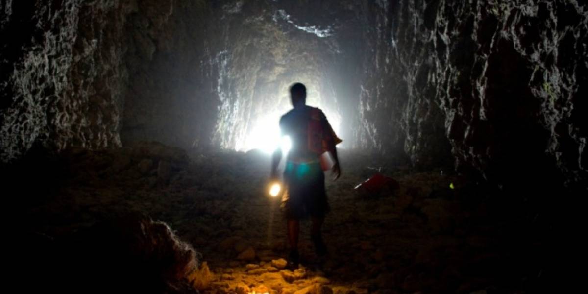 Discovery y RTVC se unen para emitir contenido educativo y entretenido