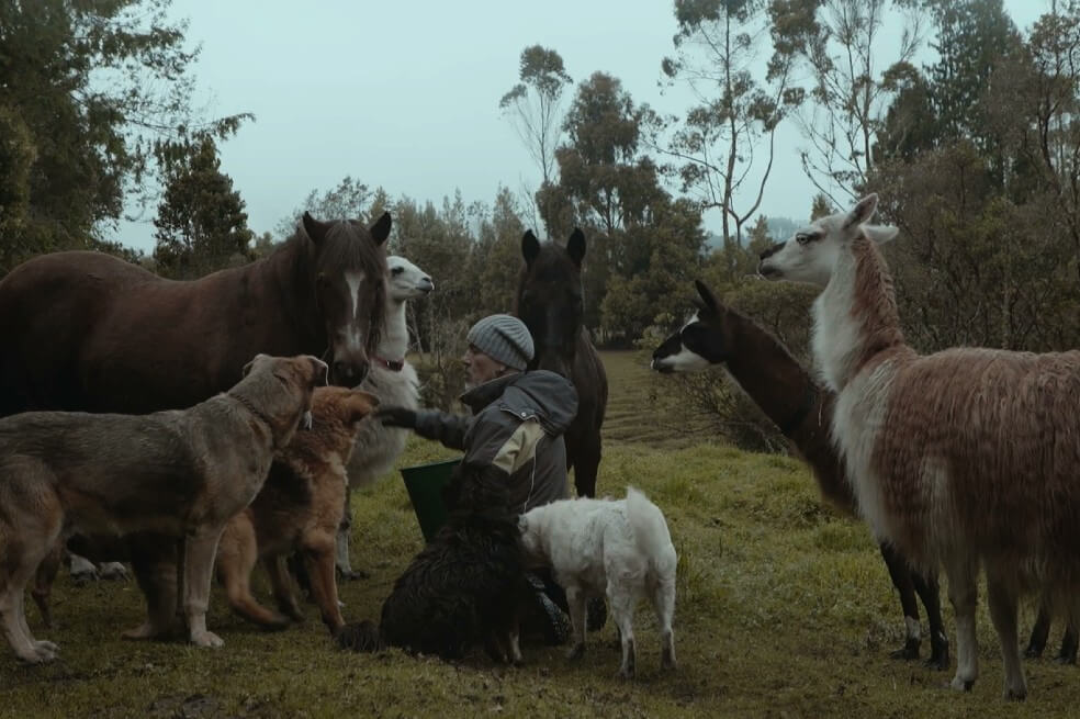 Este viernes se estrenará, por Señal Colombia, la serie "Gente del común, fuera de lo común"