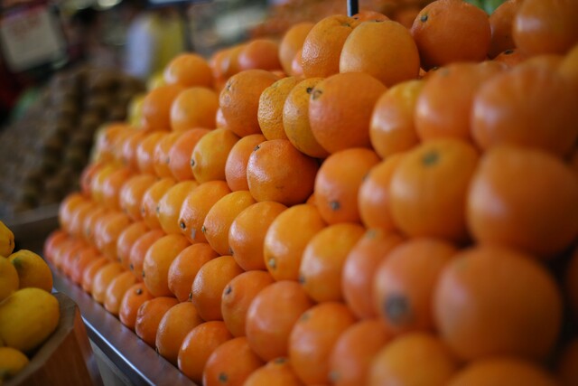 Desperdicio de alimentos