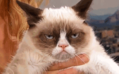 Gato Bad