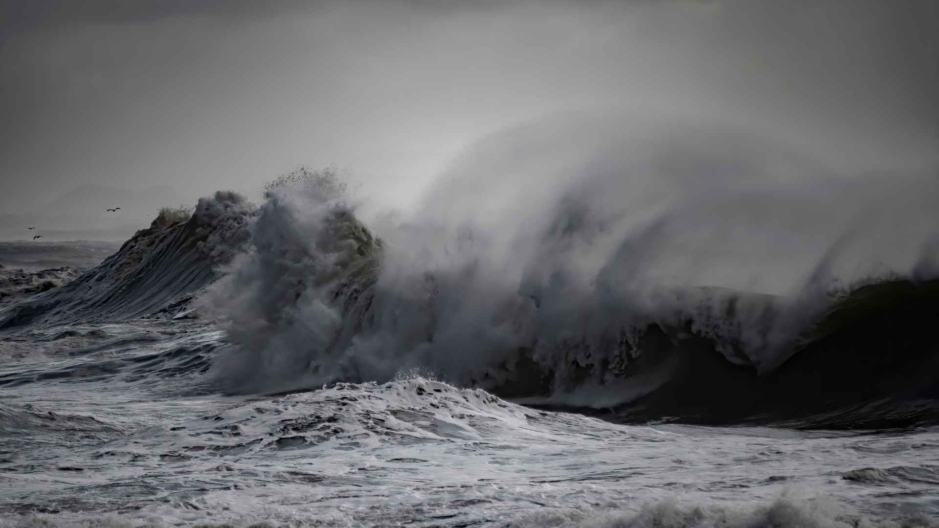 Marea