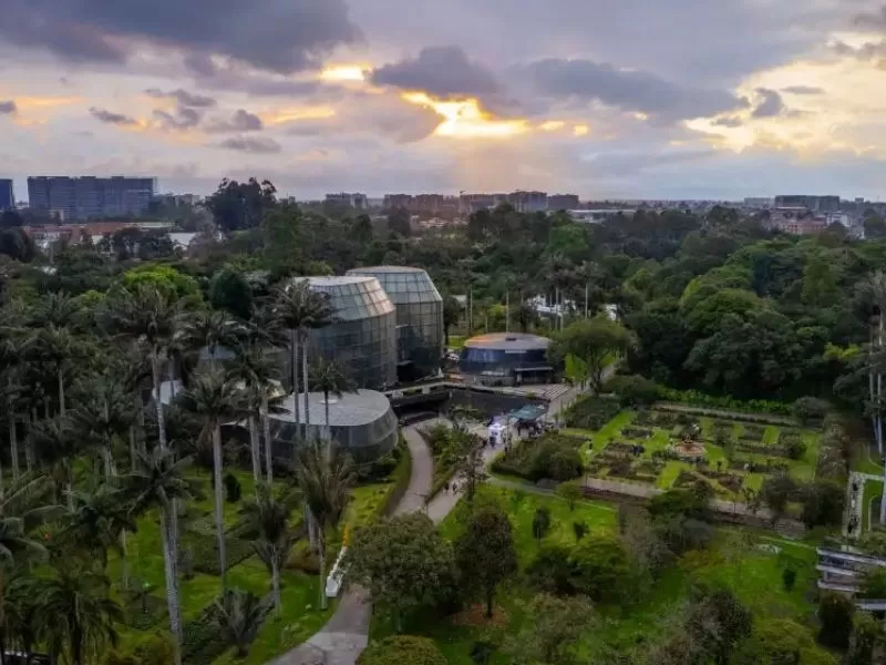 jardín botánico