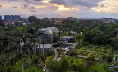 jardín botánico