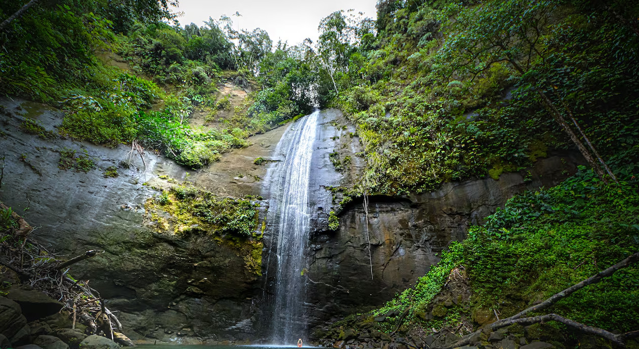 Cine en modo COP16: Estas son las películas recomendadas para entender la Biodiversidad Cine en modo COP16: Estas son las películas recomendadas para entender la Biodiversidad