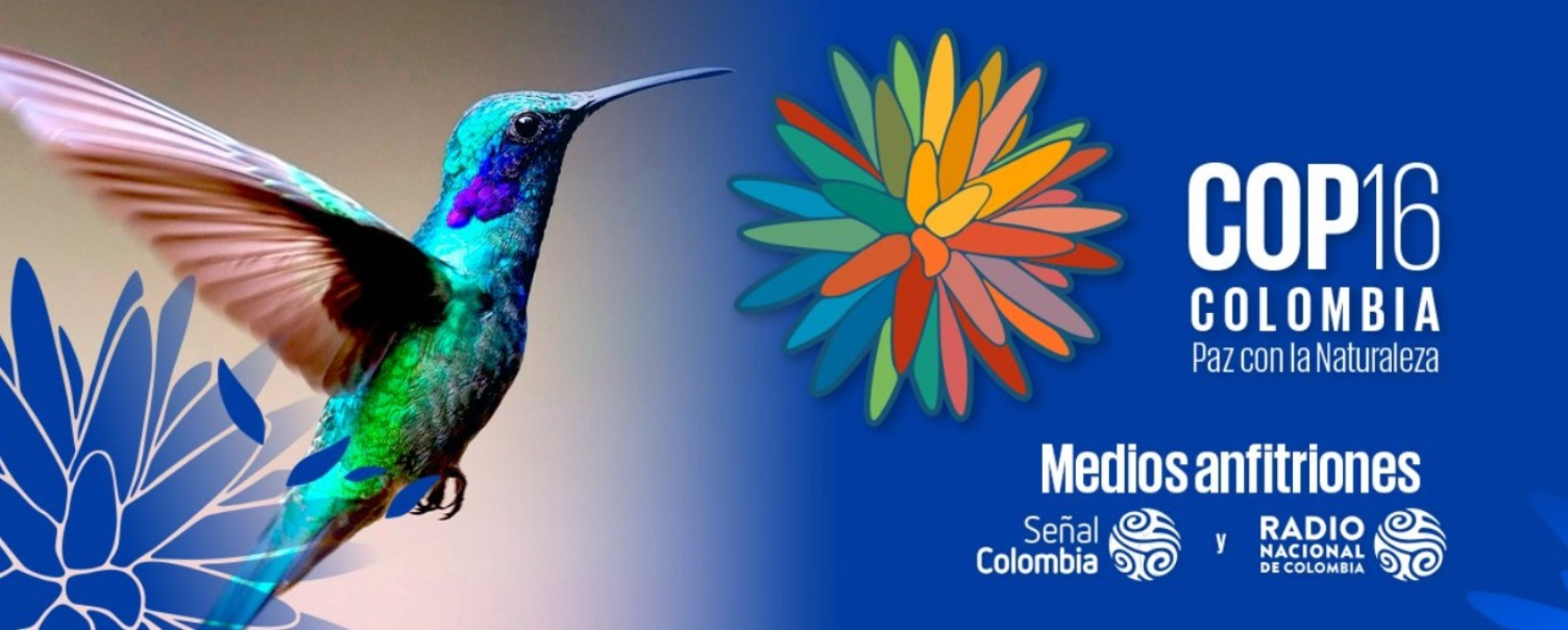La flor que nunca muere: El poderoso símbolo de la naturaleza colombiana La flor que nunca muere: El poderoso símbolo de la naturaleza colombiana