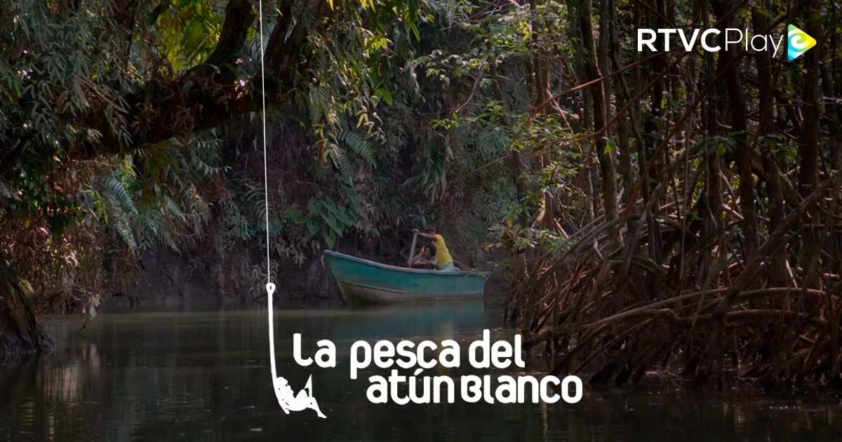 Señal Colombia y RTVCPlay celebran el día mundial del cine con las mejores películas colombianas