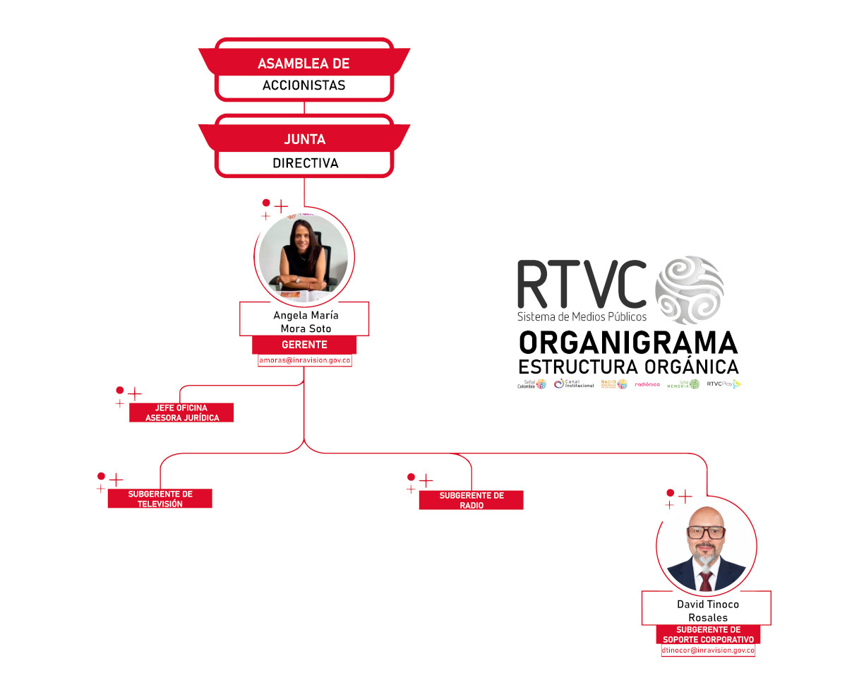 Estructura orgánica - Organigrama