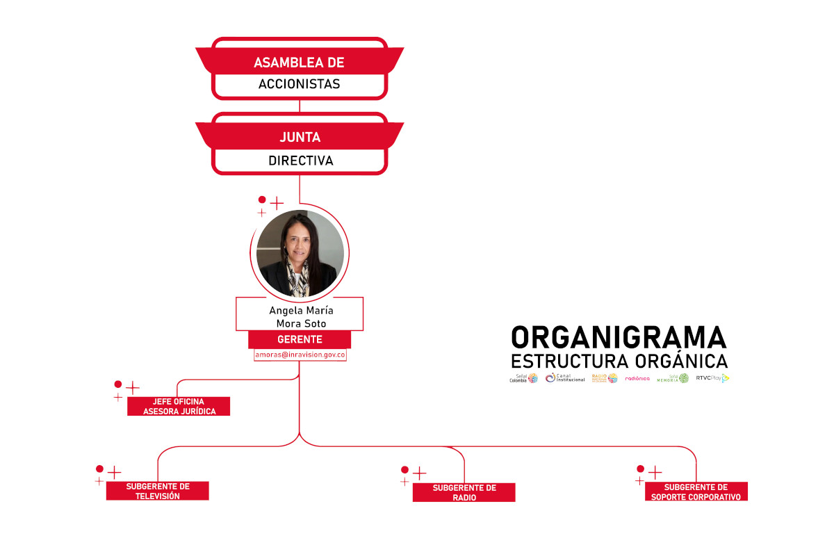 Estructura orgánica - Organigrama