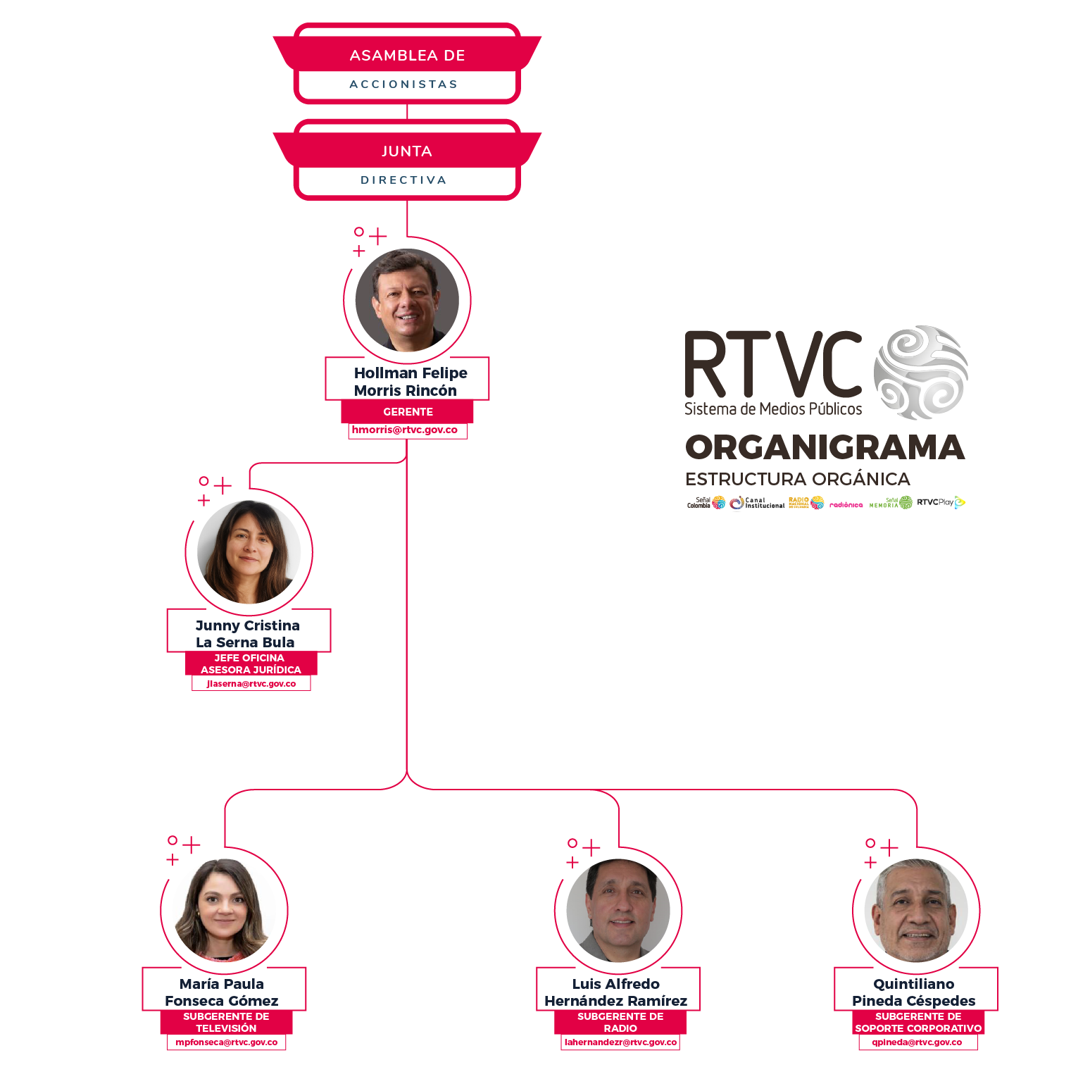 Estructura orgánica - Organigrama