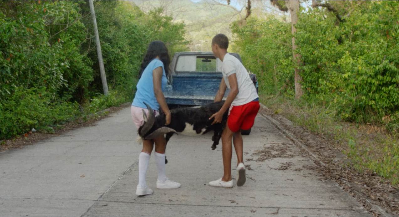 Cinco razones para ver El día de la cabra en RTVCPlay Cinco razones para ver El día de la cabra en RTVCPlay