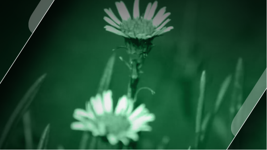 Nos pusimos de ambiente en RTVCPlay Nos pusimos de ambiente en RTVCPlay