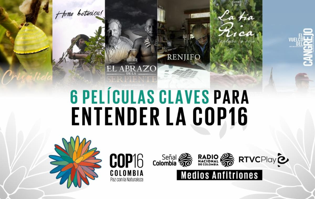 6 películas claves para entender la COP16 6 películas claves para entender la COP16