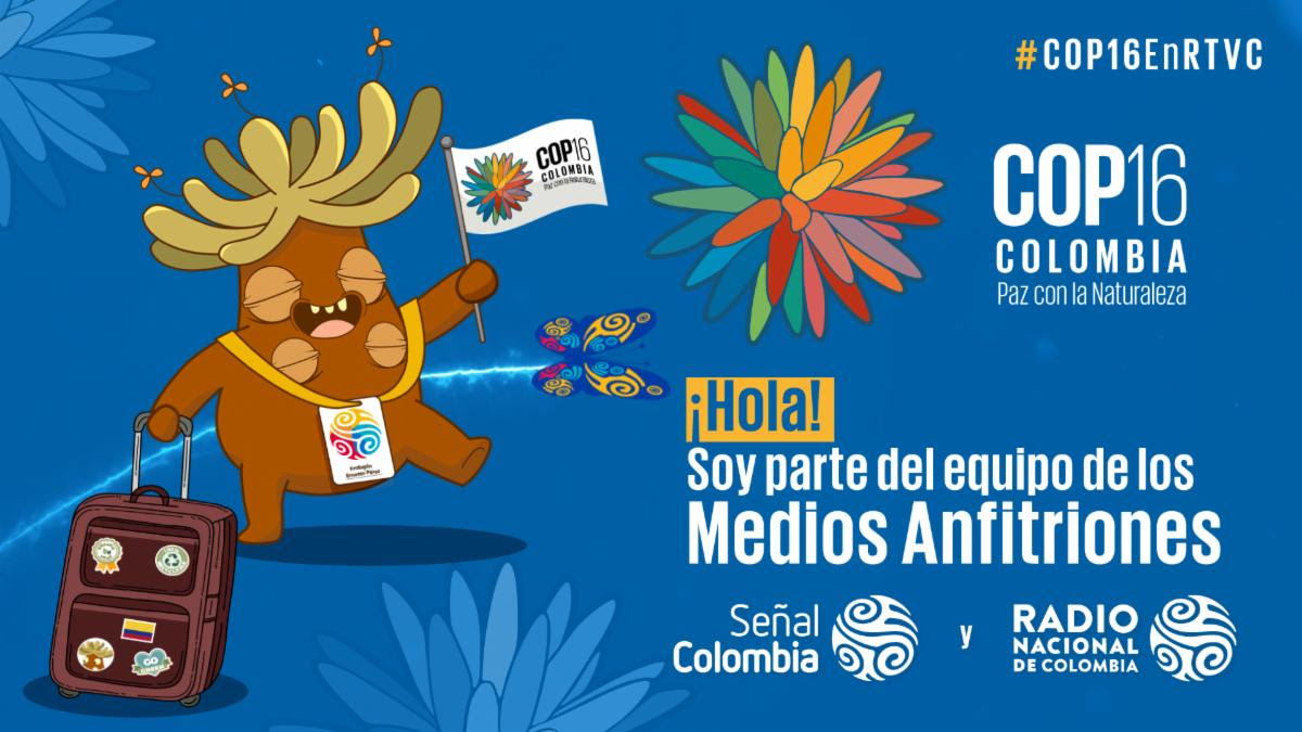 Frailejón Ernesto Pérez emprende una nueva aventura para salvar al planeta: COP16 ‘Paz con la Naturaleza’ Frailejón Ernesto Pérez emprende una nueva aventura para salvar al planeta: COP16 ‘Paz con la Naturaleza’