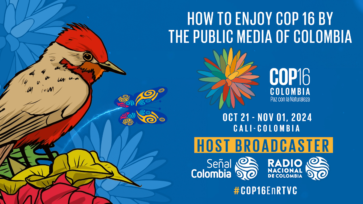 How to enjoy COP16 by The Public Media Of Colombia