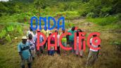 Estreno de "Onda Pacífico", el magazín que visibiliza las historias de la gente en el Pacífico colombiano