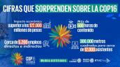 Las sorprendentes cifras de la COP16