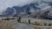 "Páramos, el país de las nieblas", realidad biológica, territorial y social de estos ecosistemas