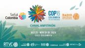 Señal Colombia y Radio Nacional de Colombia medios anfitriones oficiales de la COP16 Señal Colombia y Radio Nacional de Colombia medios anfitriones oficiales de la COP16