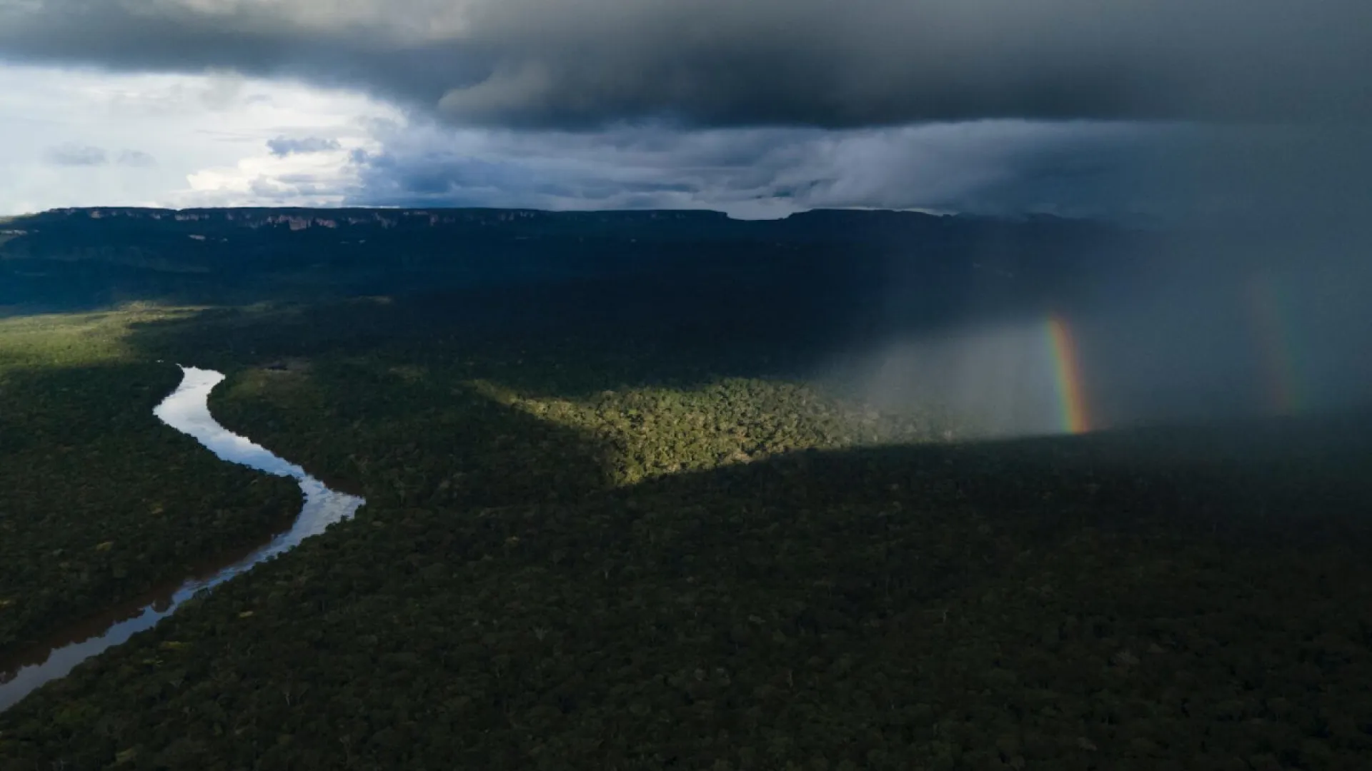 FICCI presenta el documental secreto de Chiribiquete